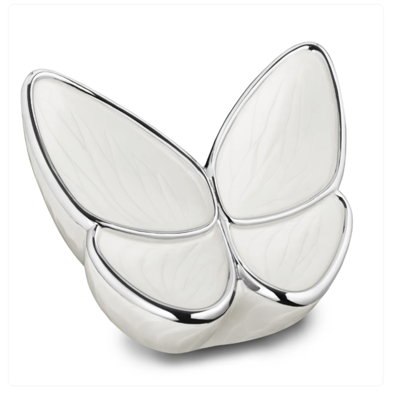 Papillon