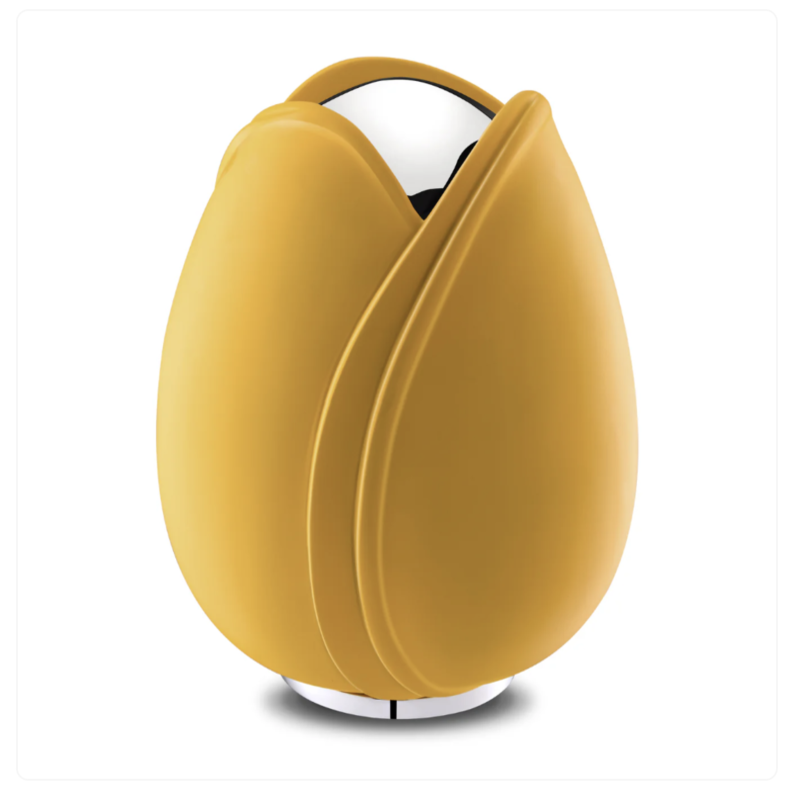 Tulipe