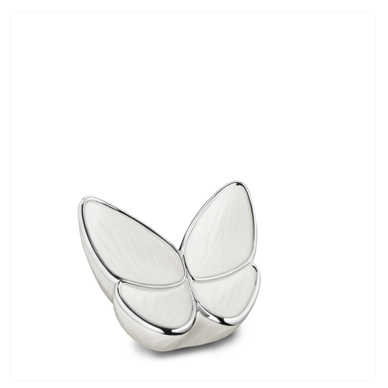 Papillon